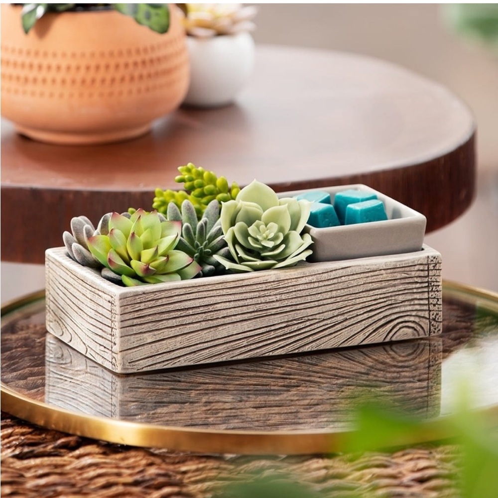 Suc-CUTE-lent Scentsy Warmer